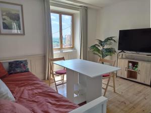 Μια τηλεόραση ή/και κέντρο ψυχαγωγίας στο Vue Volcans Studio de Charme Thiers Centre