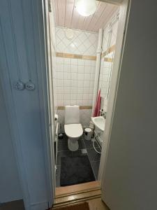 a small bathroom with a toilet and a sink at Villa Tyynelä in Sodankylä +9 photos