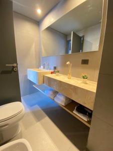 a bathroom with a sink and a toilet at Edificio Pantera - Soñar es crear in San Martín de los Andes