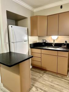 a kitchen with a refrigerator and a sink at Oak Park Oasis Near Chicago in Oak Park