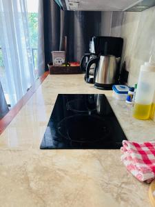 Una encimera de cocina con un fregadero y una estufa. en Apartamento Don Jarvey II, en Monteverde