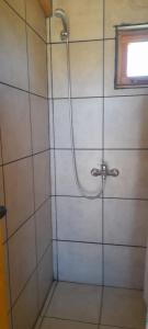 una ducha con puerta de cristal en un baño en Dormis DEL LAGO, en La Porteña