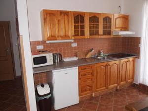 Kuchyň nebo kuchyňský kout v ubytování Apartmány Tisá 452