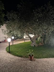 Gallery image of Chez Gigì mareh24 in Terrasini +49 photos