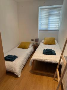 zwei Einzelbetten in einem Zimmer mit Fenster in der Unterkunft Horizon Vista in Ilfracombe + 4 Fotos