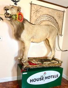 Fotografie z fotogalerie ubytování Sleep with a LION! 3 bedroom, near Downtown, Tremont, Ohio city!! v destinaci Cleveland