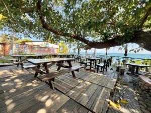 a row of picnic tables sitting under a tree at Hotel Casa Miramar in Tamanique
