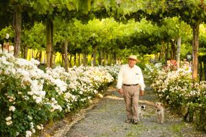 Hosté ubytování Cava Colchagua Hotel Boutique