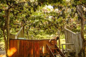 Zahrada ubytování Cava Colchagua Hotel Boutique