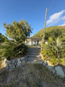 una casa con palmeras y una escalera en Villetta Ischitana - Terrazza con Giardino, en Isquia