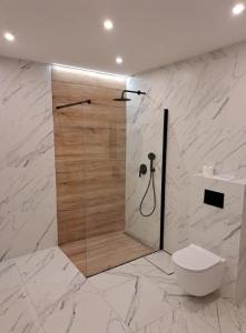 a bathroom with a shower with a toilet in it at Luksusowy dom w sosnowym lesie in Płaska