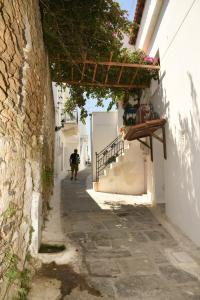 Gallery image of Traditional Ηouse - Endless Aegean Sea View in Andros