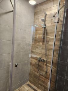a shower with a glass door in a bathroom at Lili's Azur beach Apartment in Varna City