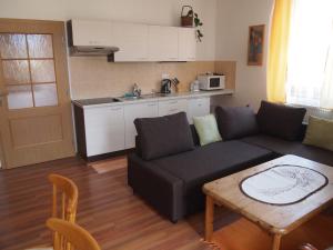 Kuchyň nebo kuchyňský kout v ubytování Apartmány Tisá 452