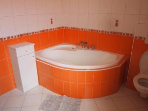 Koupelna v ubytování Apartmány Tisá 452