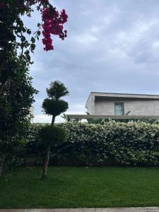 Giardino di OLEA Family Apt with Garden