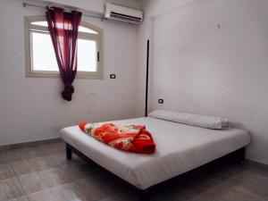 Fotografie z fotogalerie ubytování Crystal Palace v destinaci Luxor