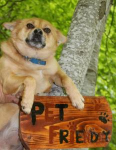 Fotografie z fotogalerie ubytování Nature Escape Tents v destinaci Kriva Palanka