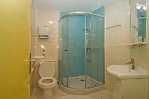 a bathroom with a shower and a toilet and a sink at Apartments Tomato 1 in Novigrad Istria