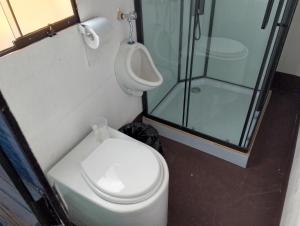 a bathroom with a toilet and a sink and a shower at Q'OTA TAYPY LODGE in Puno