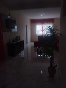 サンタ・クルース・デ・ミナスにあるCasa para temporadaのリビングルーム(ソファ、鉢植え付)