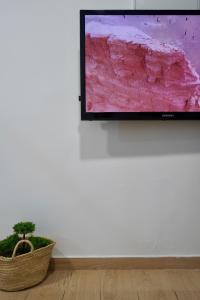 a flat screen tv hanging on a wall with a plant at Estudio TAU in Jerez de los Caballeros