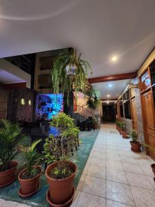 Zahrada ubytování Hotel Manantial + 13 fotografií