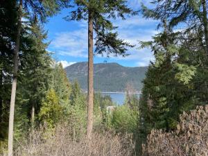 a view of a lake through the trees at Blind Bay Chalet 2 Bedroom Private Suite in Blind Bay