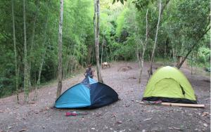 Příroda nedaleko luxury tent