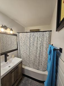 a bathroom with a sink and a shower curtain at Aansel Suites 2 bedroom in Edmonton