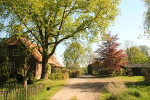 a dirt road in front of a house with a tree at Huisje en B&B Green Cottage in Groesbeek