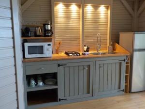 a kitchen with a counter with a microwave and a refrigerator at Nati Lodge - Bungalow Guadeloupe in Bouillante +10 photos