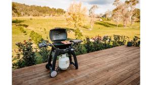 沃洛比The Big Wollombi Wanderer的木甲板上的一个烧烤架