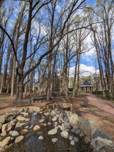 The Loft 3BDR, City Centre, Family-Friendly, King Bed, Massage Chair, Parking في كانبرا: حديقة بها مقاعد وبركة واشجار