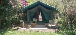 a green tent with a couch and chairs in it at Best Camping Tours Campsite in Masai Mara +46 photos