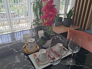 Nápoje v ubytování Dina lux apartman