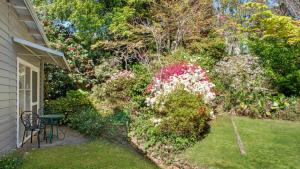 Un patio con un banco y arbustos en flor. en Crabapple Southside Mountain Cottage Pet Friendly, en Wentworth Falls