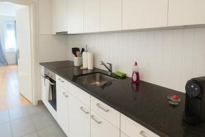 ครัวหรือมุมครัวของ Fribourg Home Junior