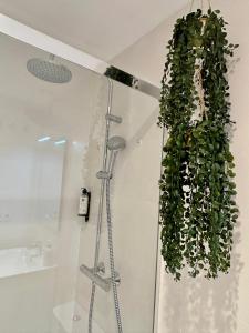 een groene plant die aan een douche in een badkamer hangt bij TARIFA MOON The best place to be in Tarifa