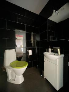 a bathroom with a green toilet and a sink at Cozy Family House with Sauna & Garden in Kärdla