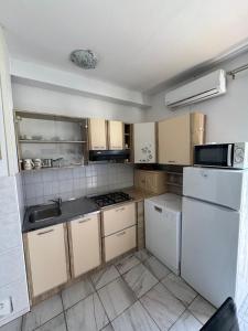Kuchyňa alebo kuchynka v ubytovaní Apartman Viki + 5 fotografií