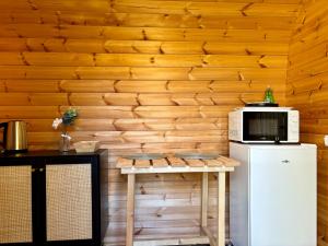 kuchnia z lodówką i kuchenką mikrofalową na ladzie w obiekcie Camping Les Voiles Sur Grosne w mieście Savigny-sur-Grosne +18 zdjęć