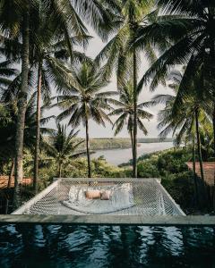 Piscina di SPICE TRADER o nelle vicinanze