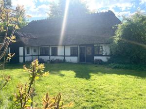 Zahrada ubytování Guest house Æbelnæs, Møn