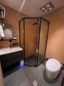 LAYLiVE Good soundproofing Near the subway, US Consulate, Nanjing Road Jing'an Temple business district Convenient transportation Courtyard music的一间浴室