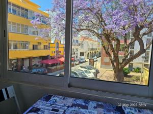a window view of a street with a tree with purple flowers at BLife Farensya private rooms in Faro