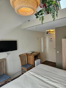 TV a/nebo společenská místnost v ubytování Hotel Dolores Ameland
