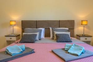 NedeščinaにあるVilla Casa Berton, a charming pool villa close to the seaの青い枕が付いた大きなベッドのある寝室 +23枚の写真