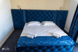 Galeriebild der Unterkunft Pensiunea Paradis Buzias in Buziaş + 45 Fotos