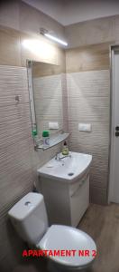 a bathroom with a toilet and a sink and a mirror at PrzyLądek 30 in Lądek-Zdrój